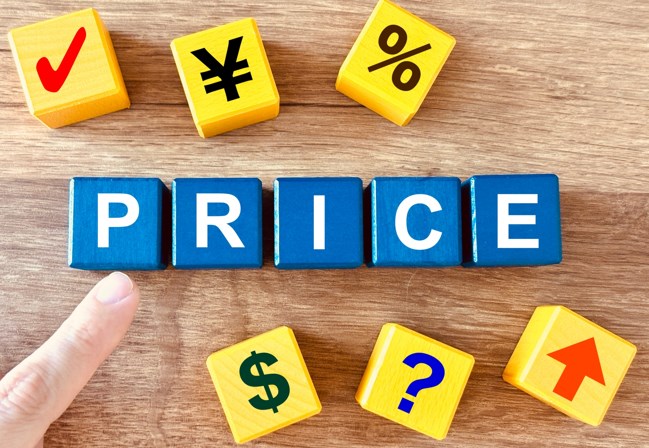 ワイモバイル おうち割 光セット（A) 利用料金